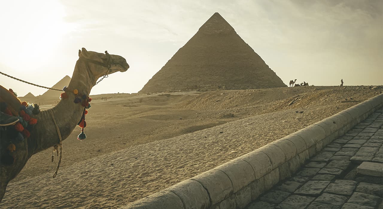 Ein Kamel und eine Pyramide
